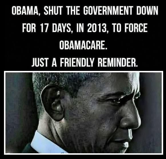 Brookltnwilliw's tweet image. 