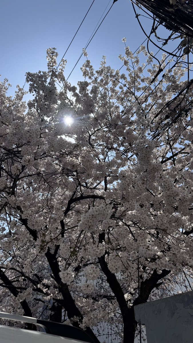 158gif's tweet photo. 2026 팝콘 https://t.co/QRXU7NaXfS