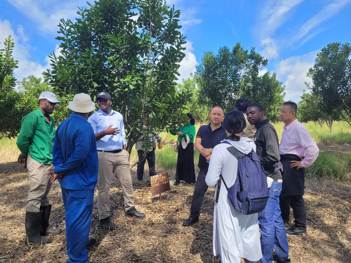 ZimTrade tweet media