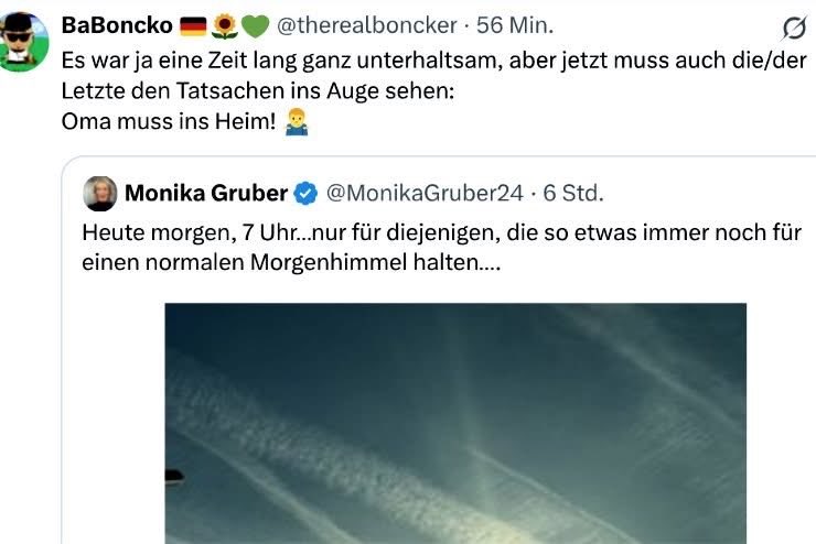 Littlewisehen tweet media