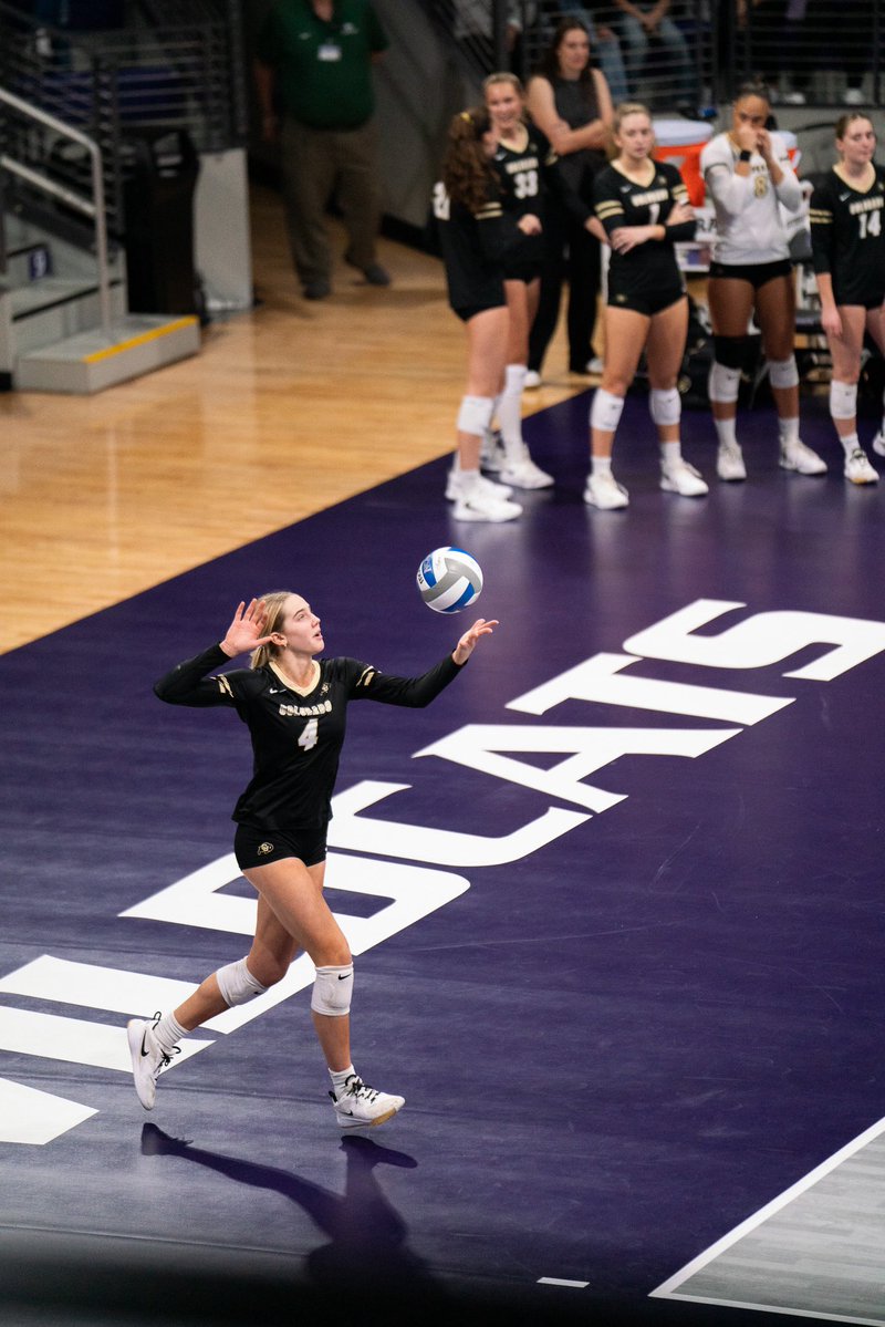 Colorado Buffaloes Volleyball tweet media