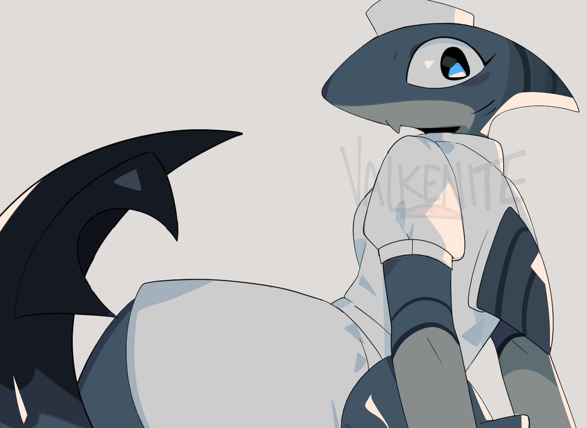 ✦ VALKYRIE tweet media