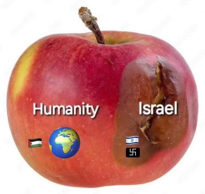 Parody Sam Spade tweet media