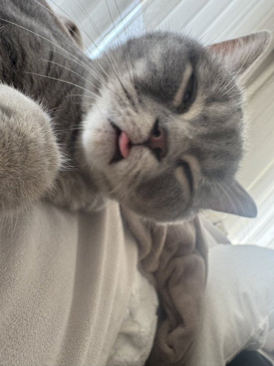 Benedict tweet media