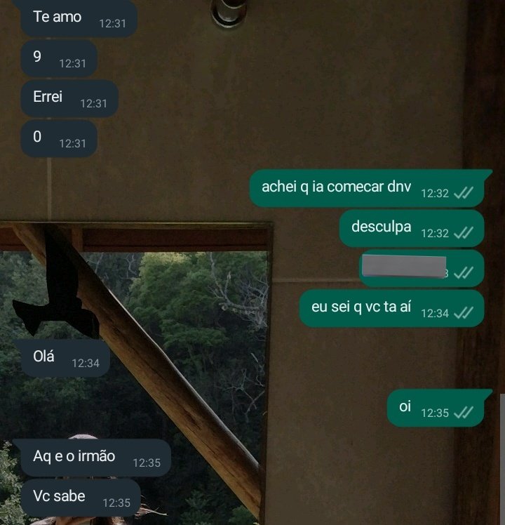 brendinha tempestade tweet media