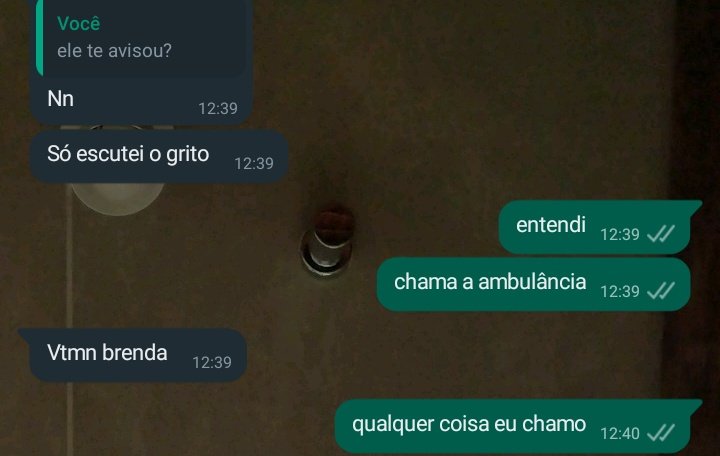 brendinha tempestade tweet media