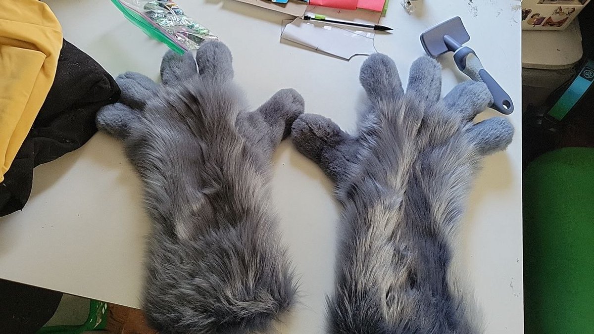 _DaGoshi_🔜Furg/AC tweet media