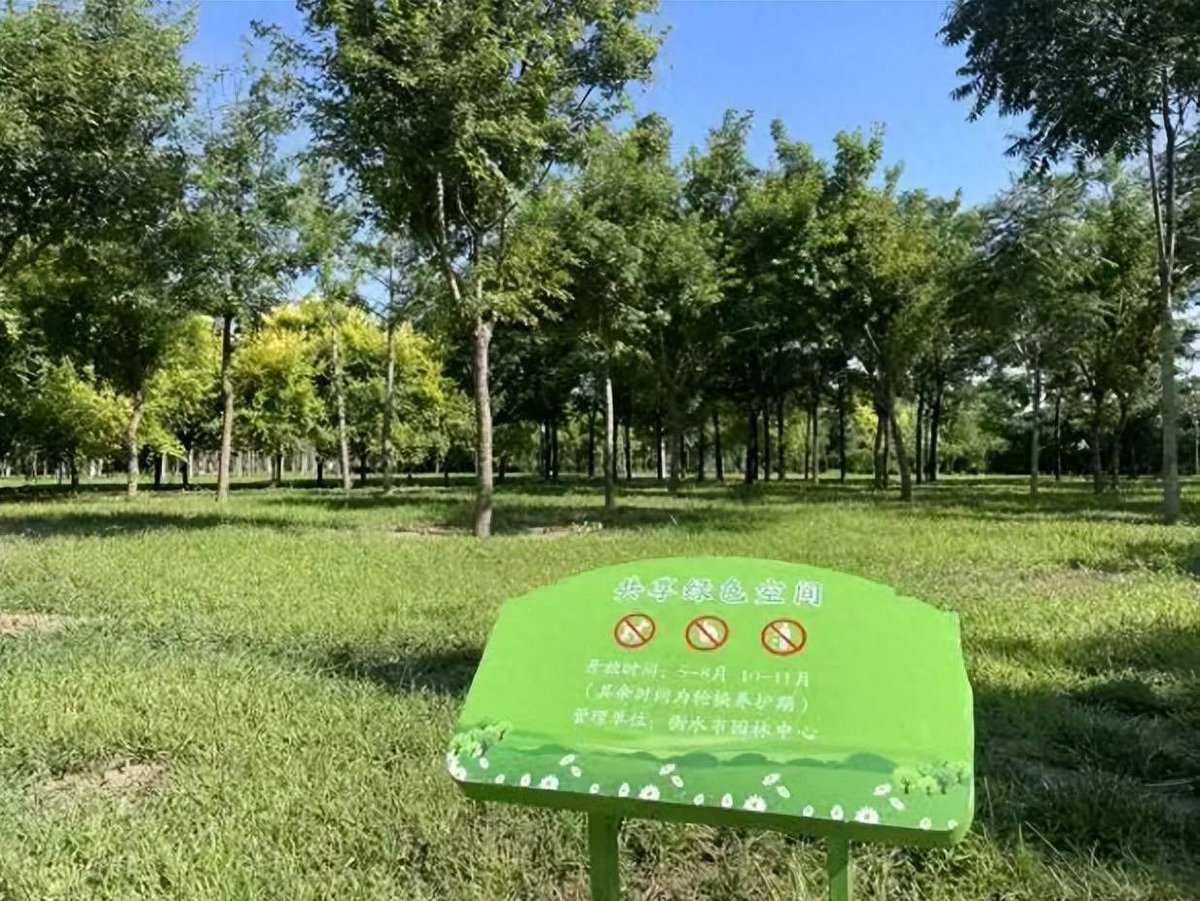 Mr One Ricky tweet media