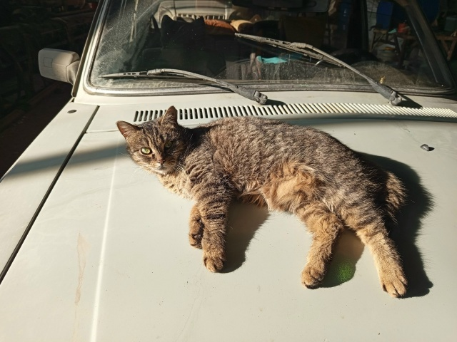 Tetronom tweet media