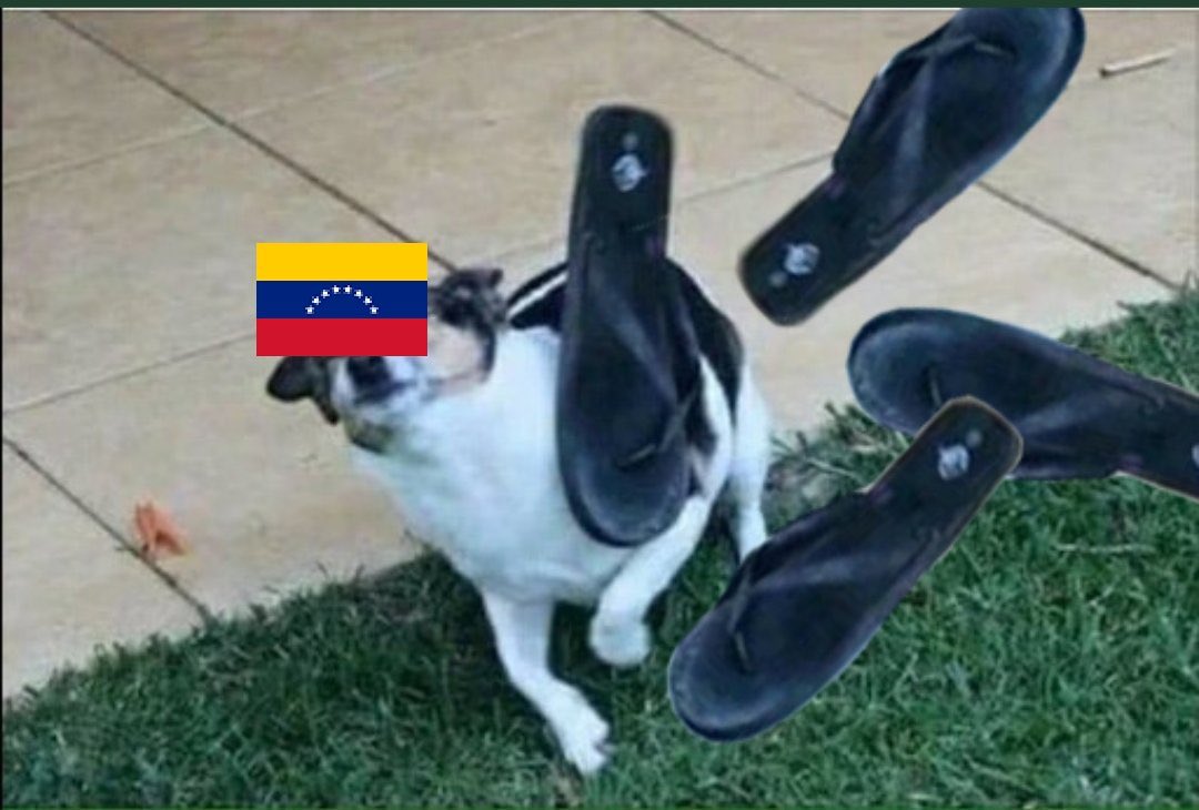 AleShelby tweet media