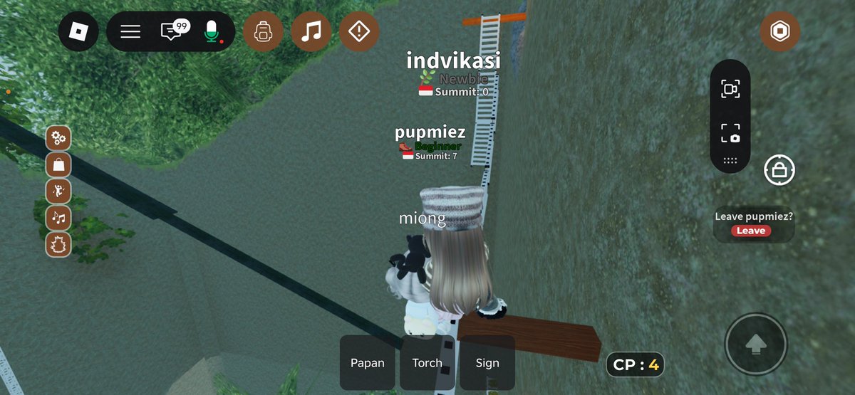 indvikasi tweet picture
