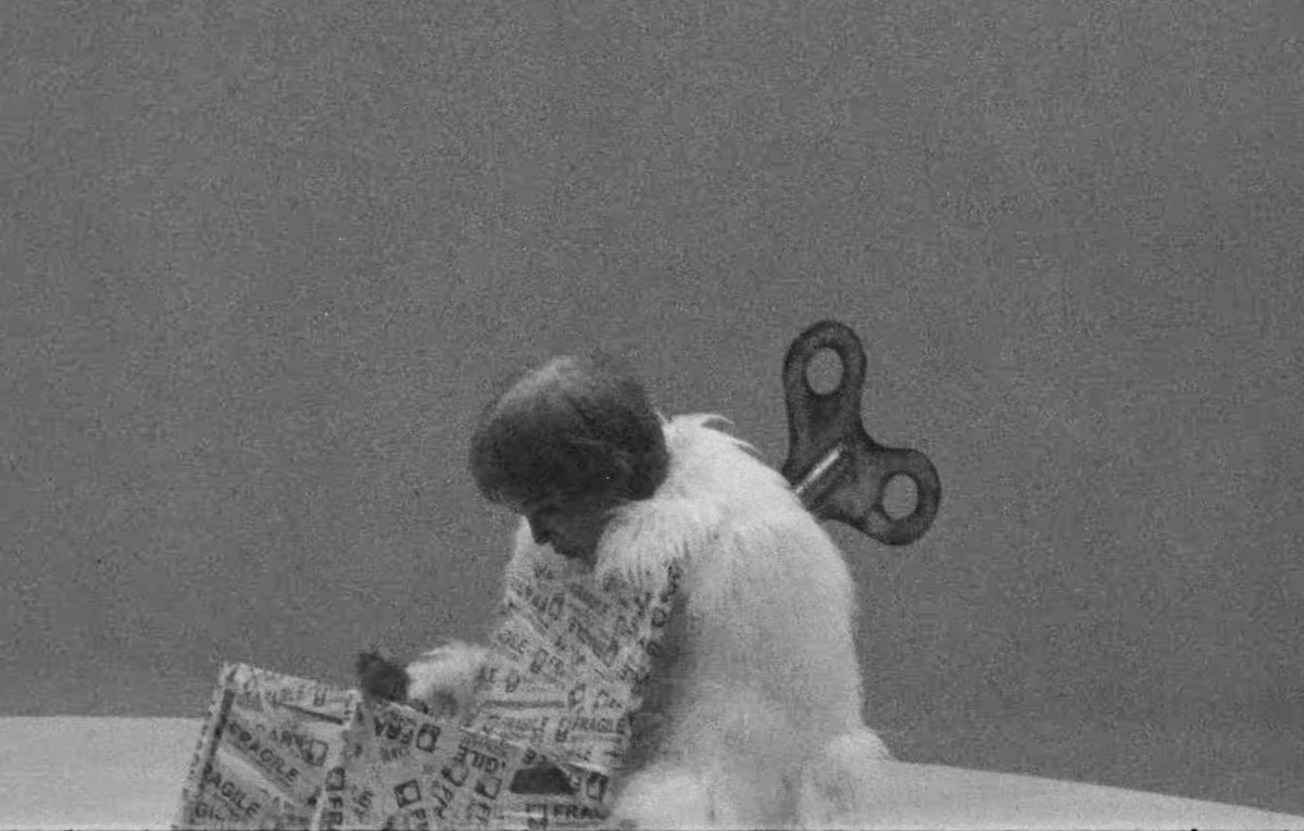 하여자 tweet media