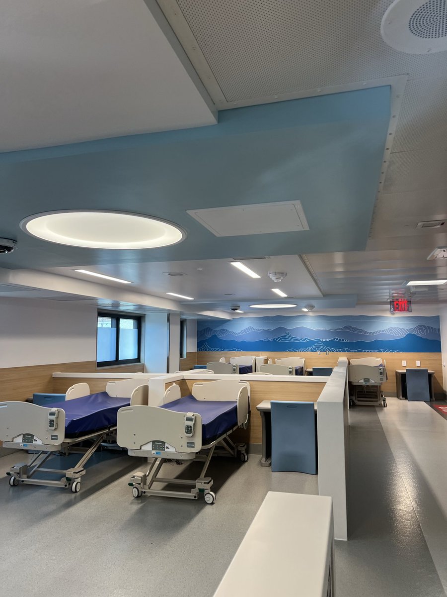 Sahalie Donaldson tweet media