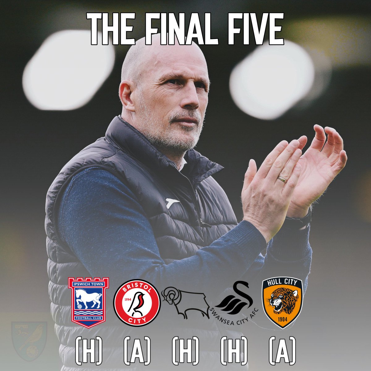 Norwich City Updates tweet media