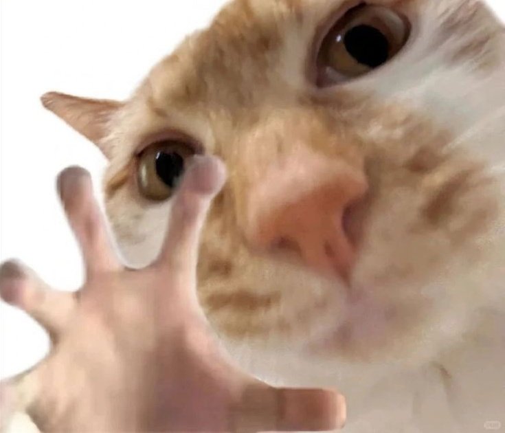 Serenity ٠ ࣪⭑ tweet media