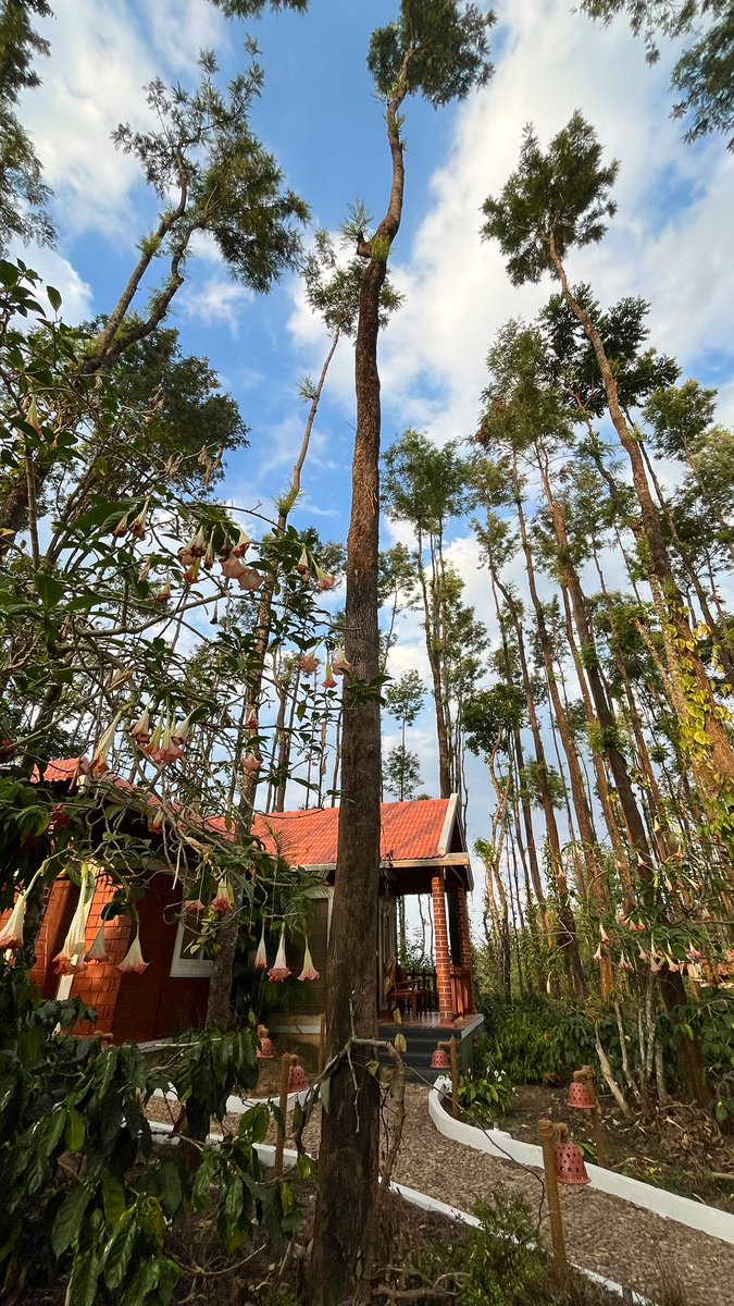 Tanvi 🤸‍♀️ tweet media