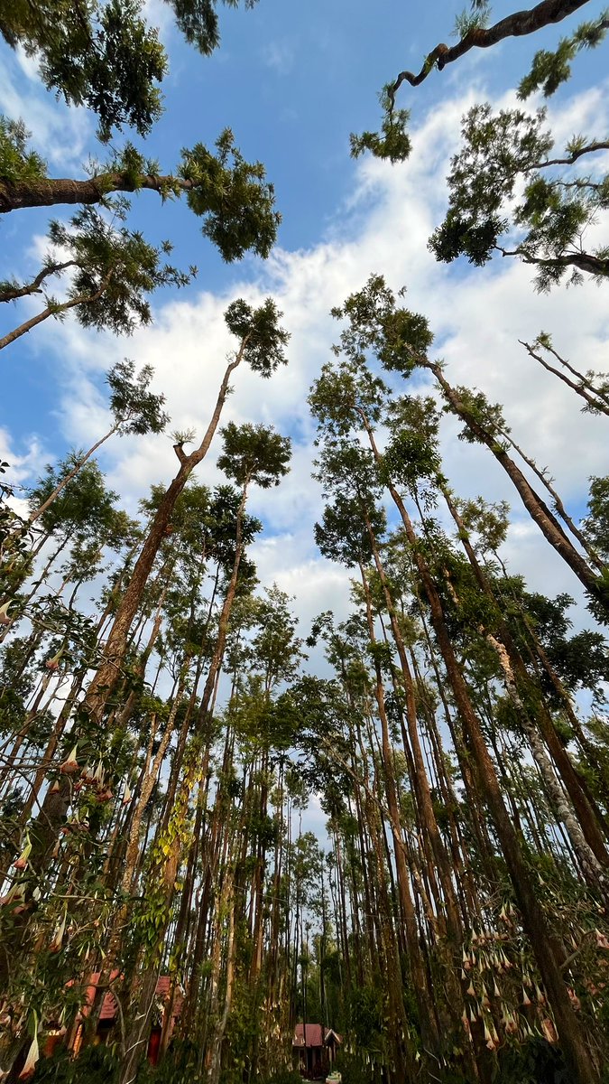 Tanvi 🤸‍♀️ tweet media