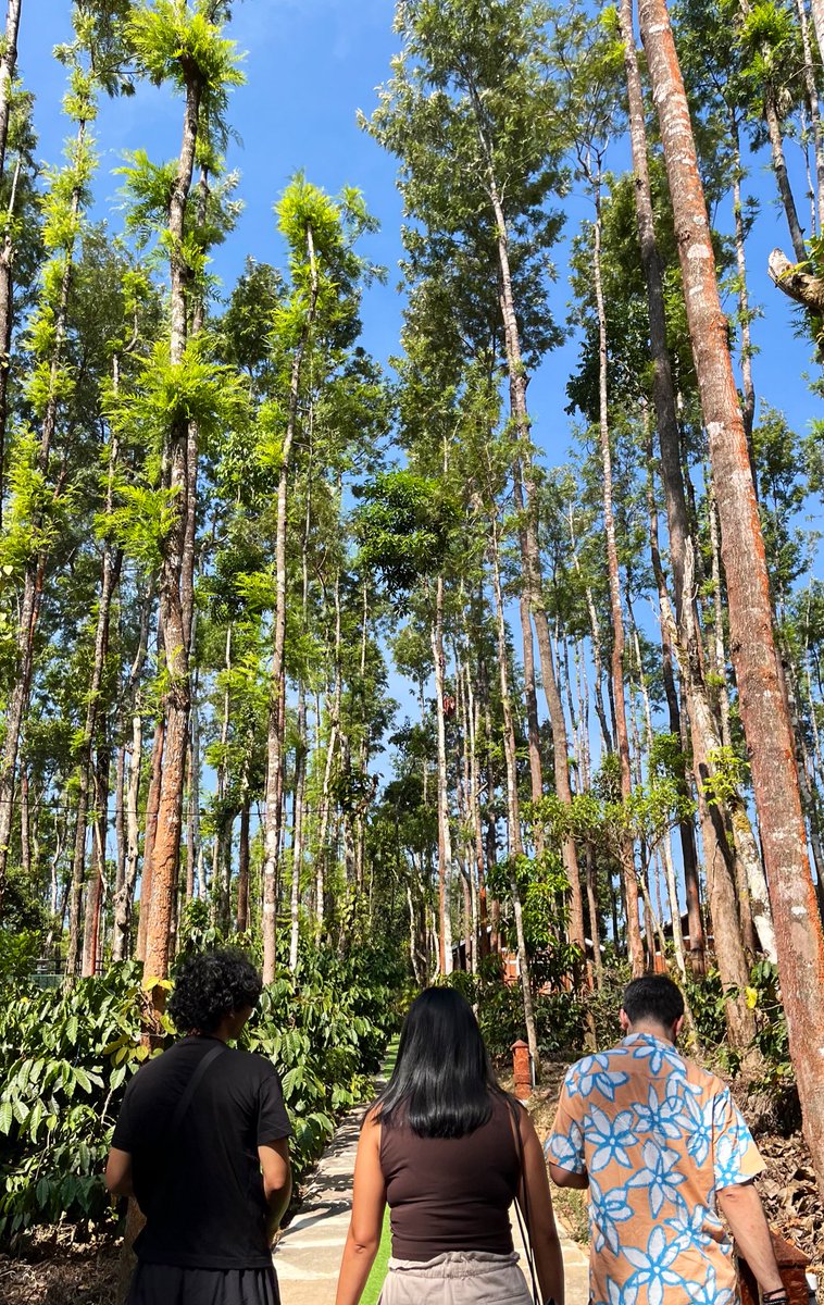 Tanvi 🤸‍♀️ tweet media