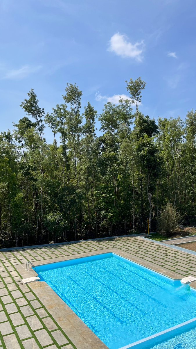 Tanvi 🤸‍♀️ tweet media