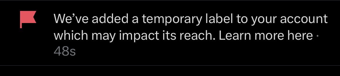 Ace Trappola tweet media