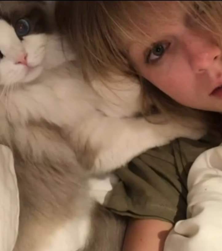 Taylor Swift Fan Archive tweet media