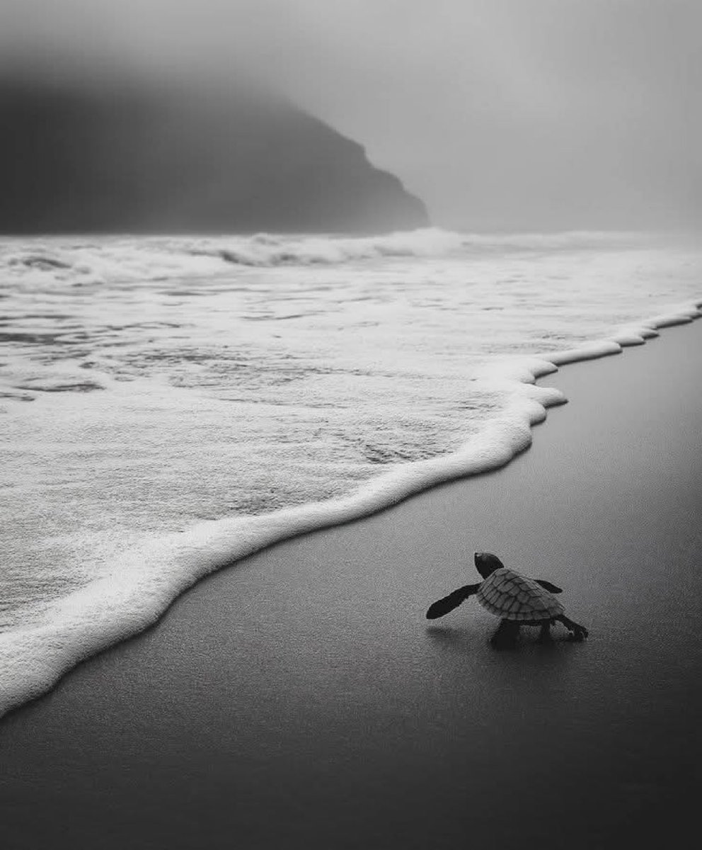 James Anthony 💎 tweet media