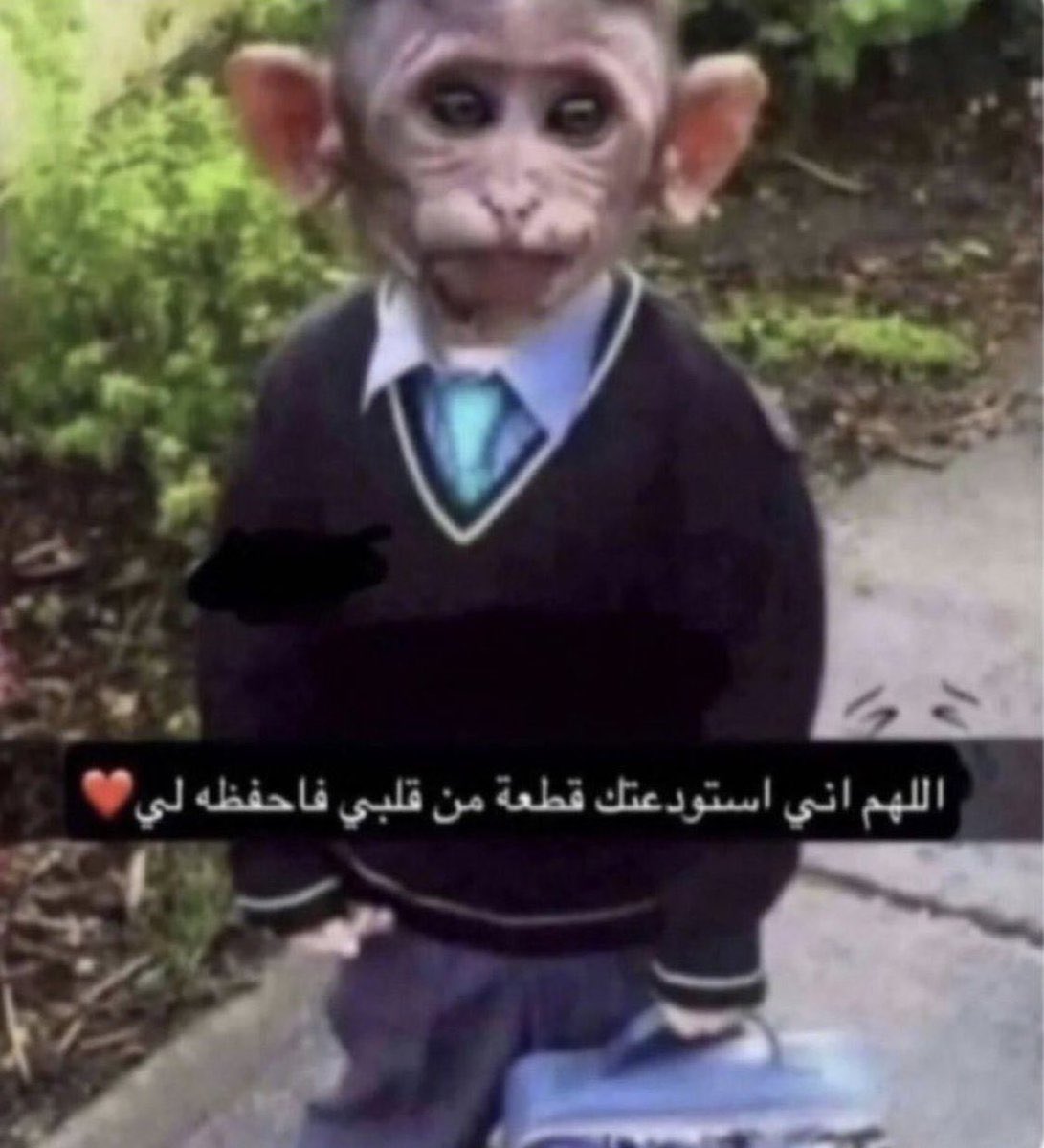 هتّان tweet media