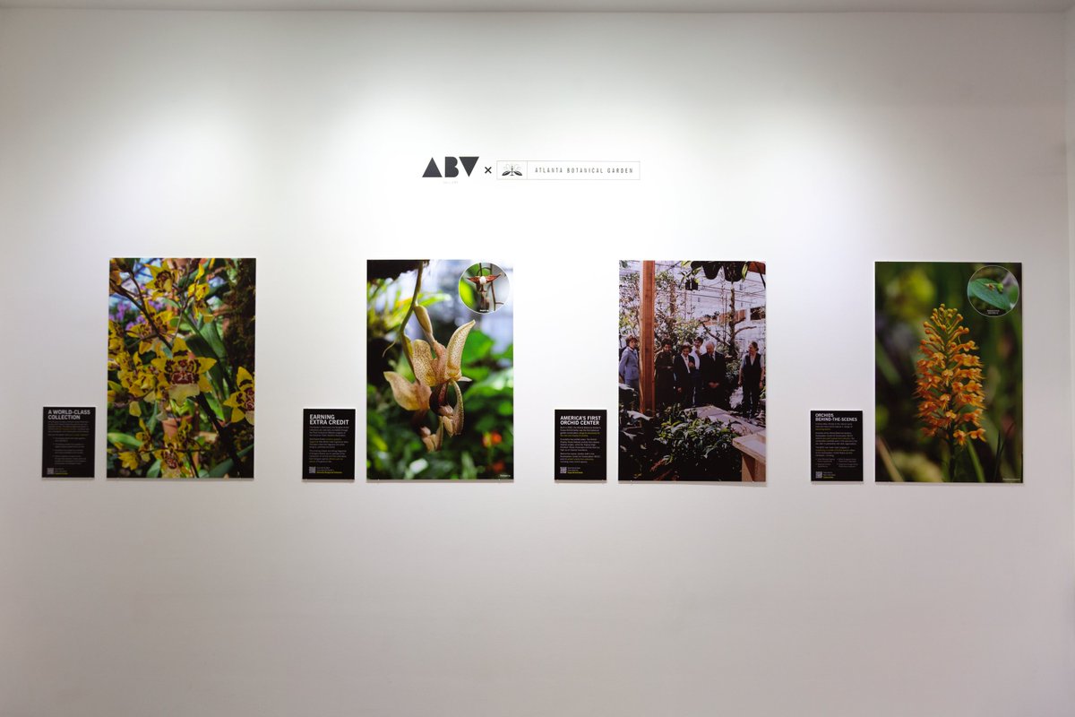 ABV Gallery tweet media