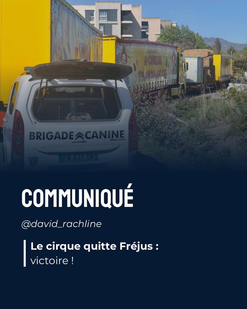 David Rachline tweet media