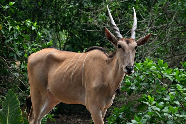 Andy Carter tweet media