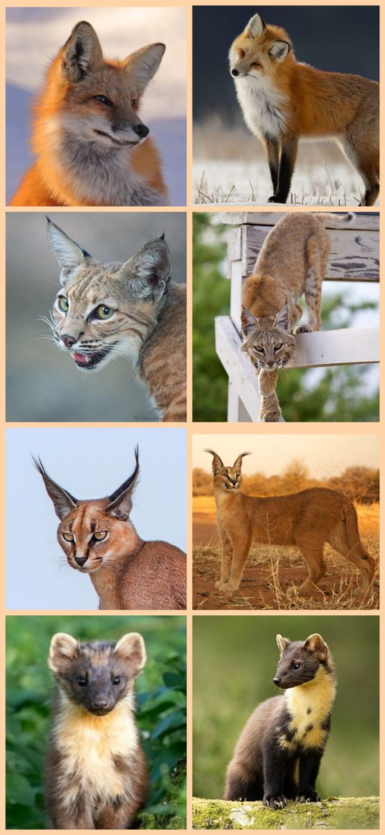 lynn. 🎫 tweet media