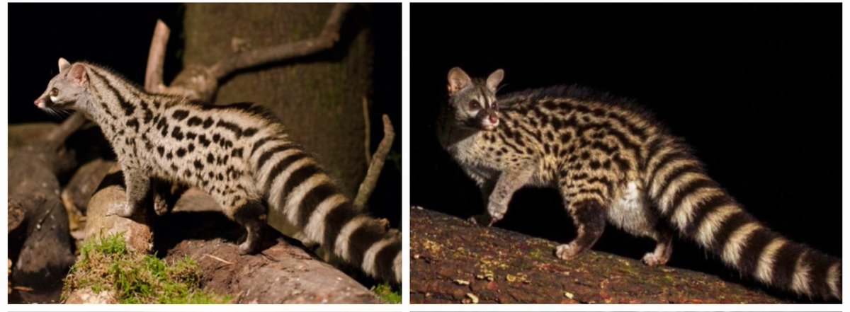 lynn. 🎫 tweet media