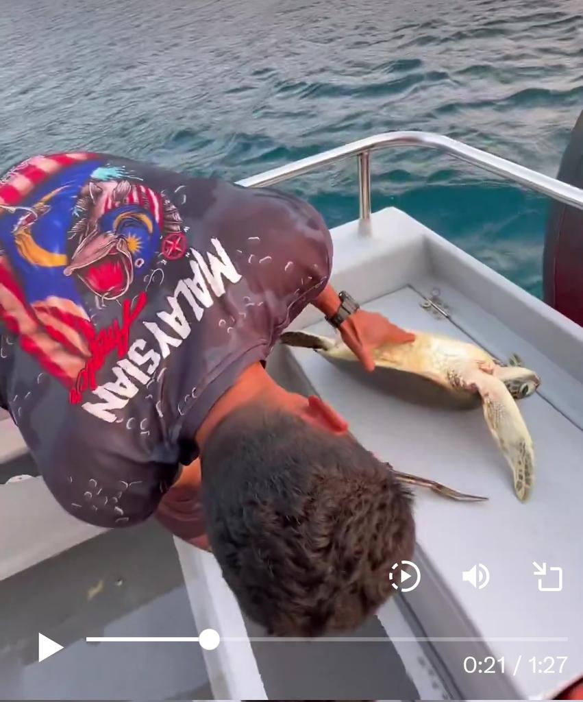 lorettabagg's tweet photo. This guy's Malaysian btw. Remember what I said about boat guys on islands being the nicest non incel people. Yeah this is why. 

They are busy saving wildlife than mocking women or others online. https://t.co/sfDVkNSuX2