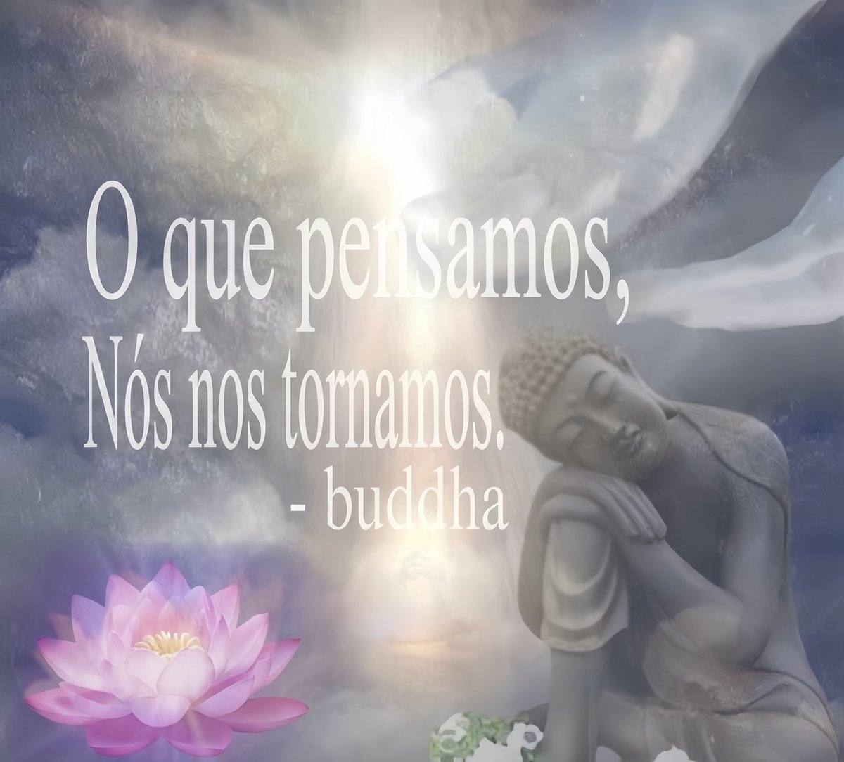 carla tarot 🃏 tweet media