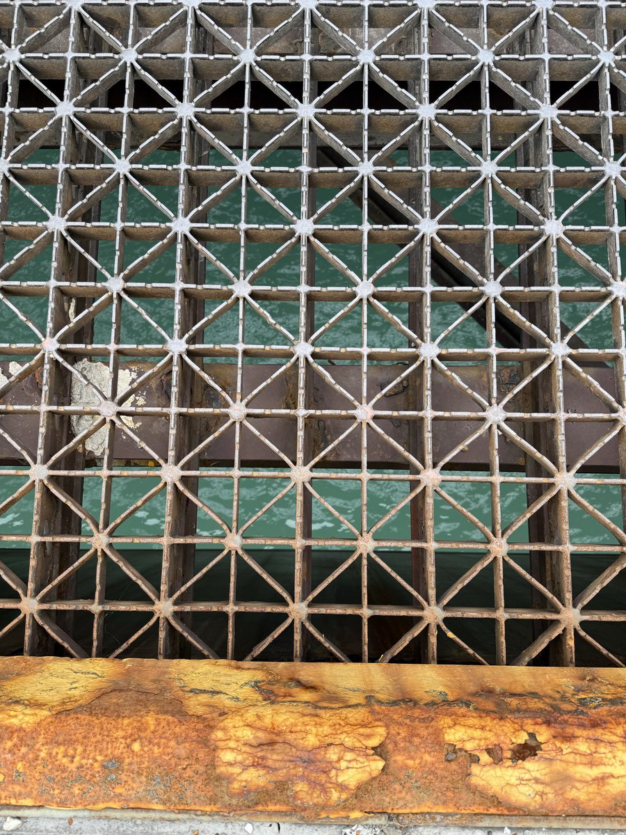 🛟C⚓️OPUS tweet media