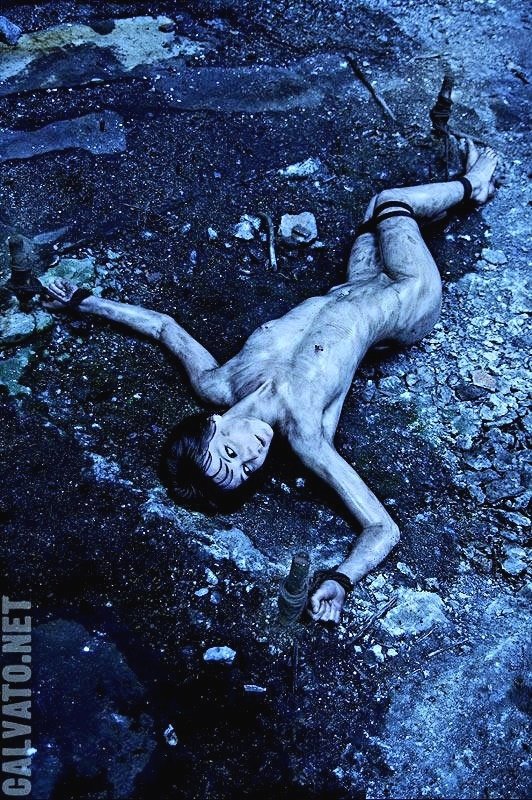 Soft & Owned tweet media