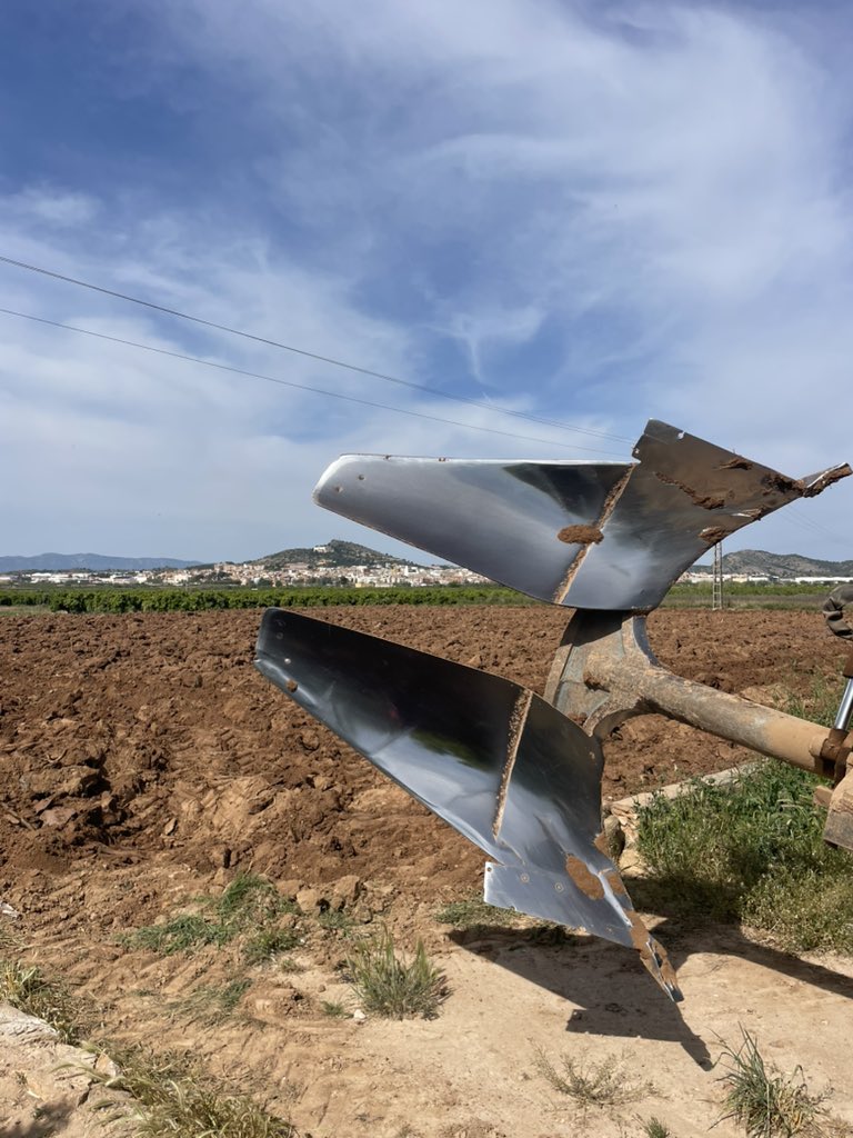 Pepe Barea tweet media