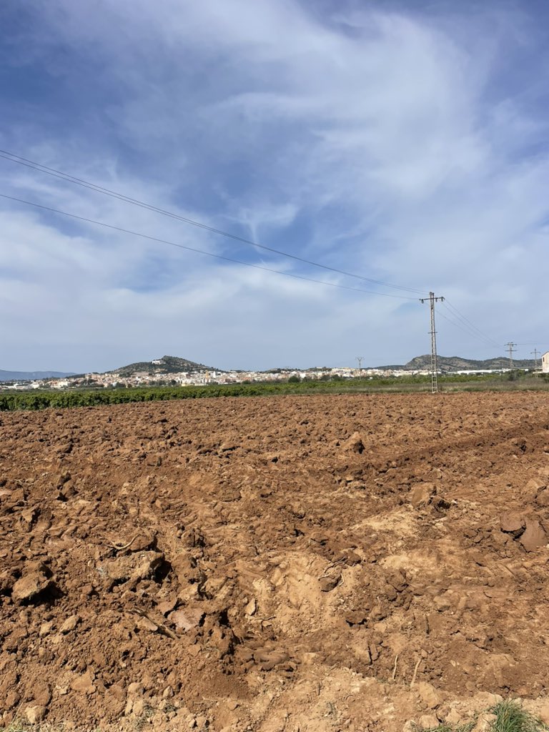 Pepe Barea tweet media