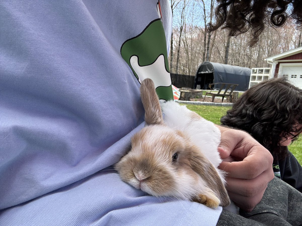 _nazunacchi's tweet image. i didnt birthday post but my bday passed on sunday/easter