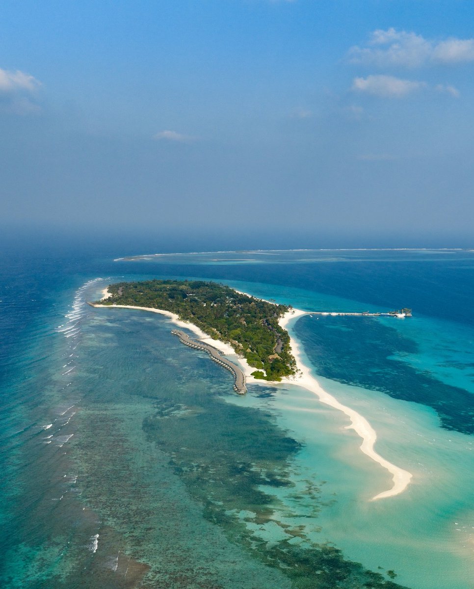 Kuredu Island Resort & Spa tweet media