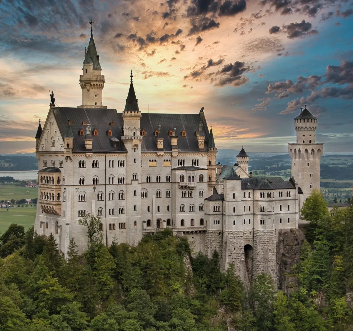 Capybara tweet media