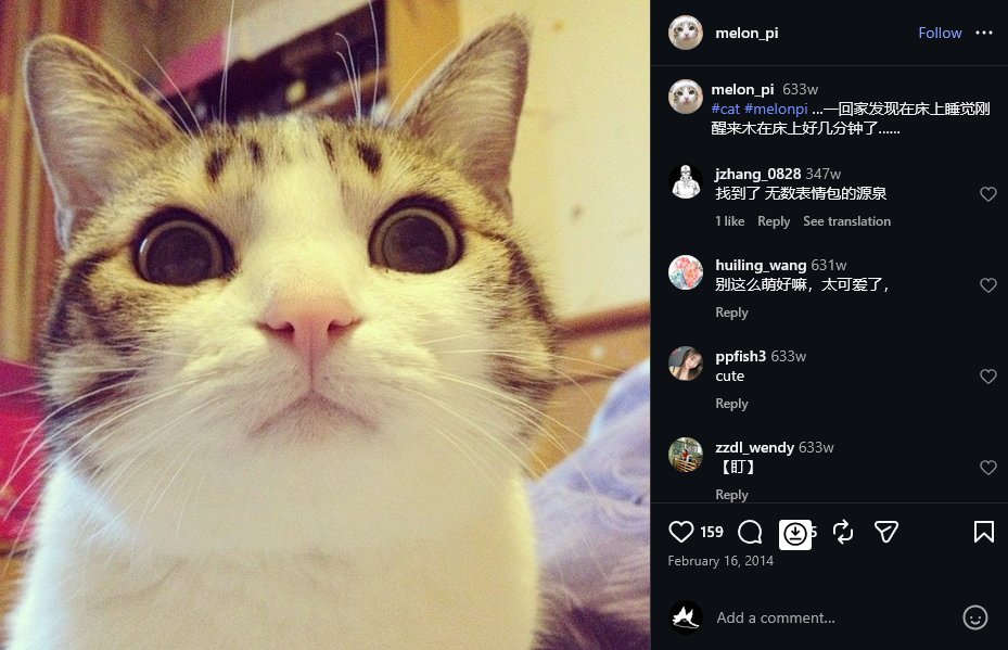 [archer] tweet media