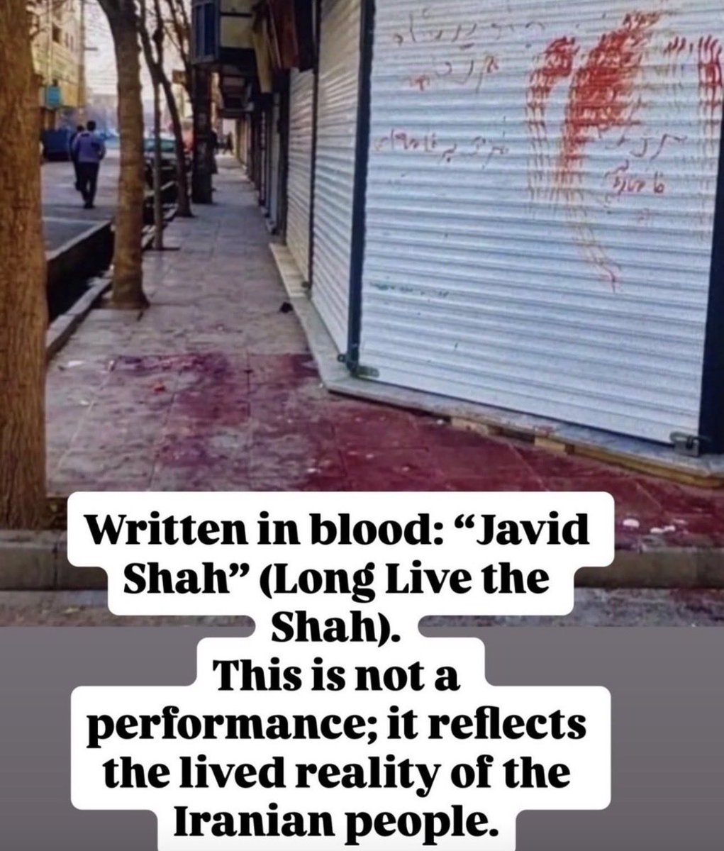 SiminTavangari's tweet photo. @EthanLevins2 This is what’s happening in Iran. @EthanLevins2, stay in your lane and stop spreading propaganda for a barbaric dictatorship.
#RezaPahlaviForlran #DigitalBlackOutlran #kingrezapahlavi #ThankYouTrump #ThankYouBiBi #IranRevolution2026 #freeiran #irgcterroris #internetforiran https://t.co/doNokF52md