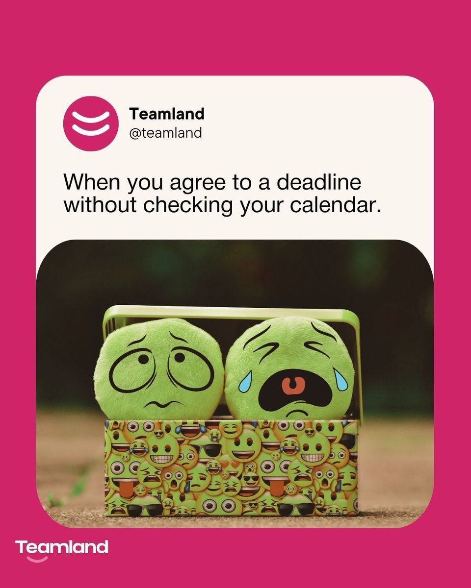 Teamland tweet media