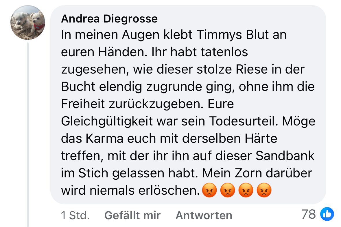 Taxiteller Fonzy tweet media