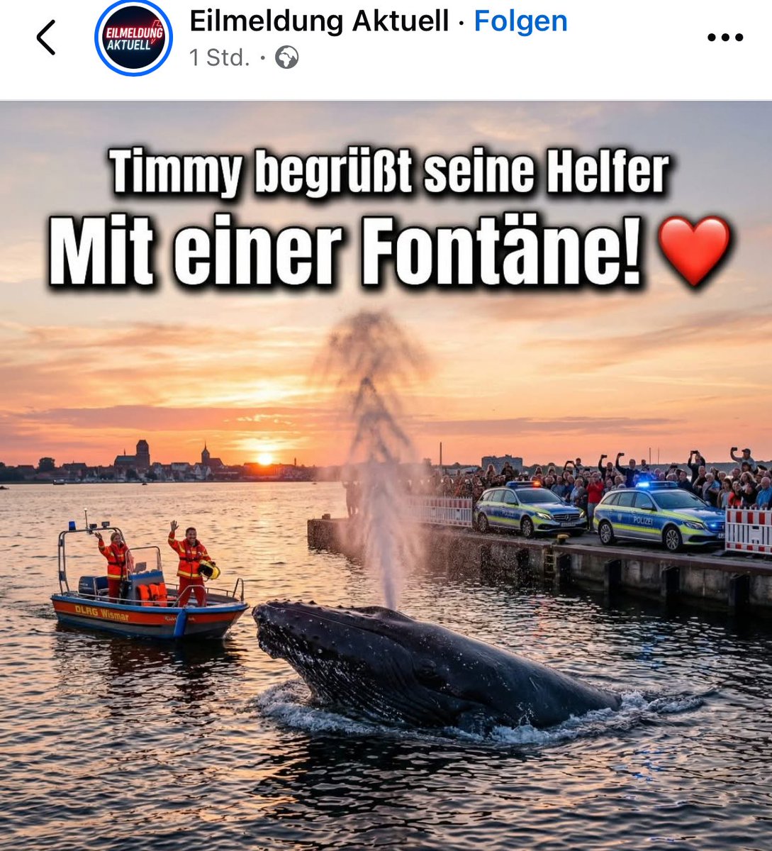 Taxiteller Fonzy tweet media