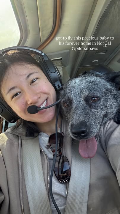 Pilots N Paws tweet media