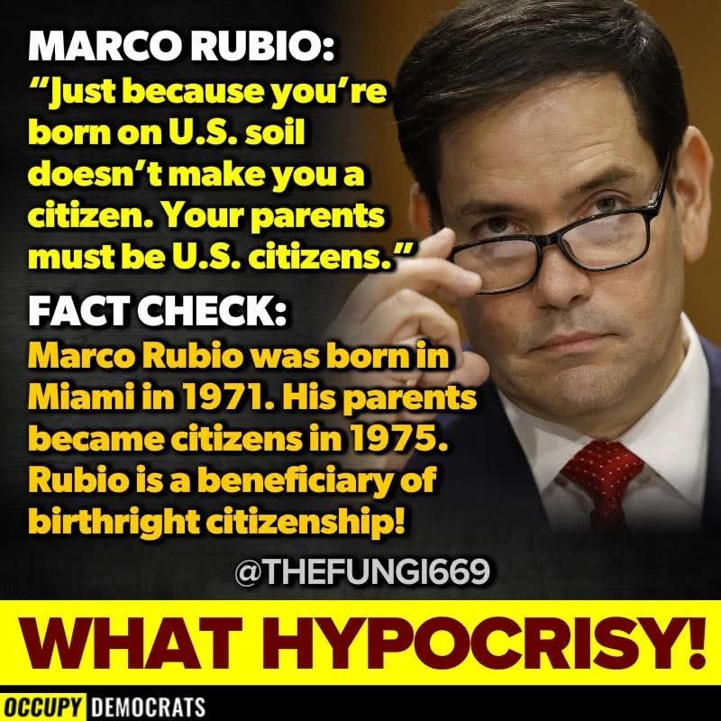 Democratic Coalition tweet media