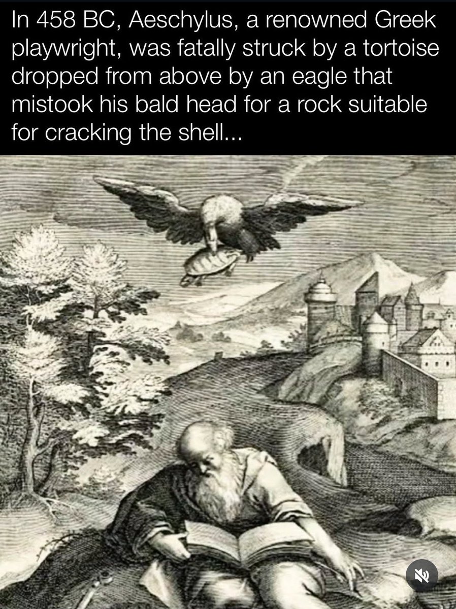 Ignis Divine tweet media