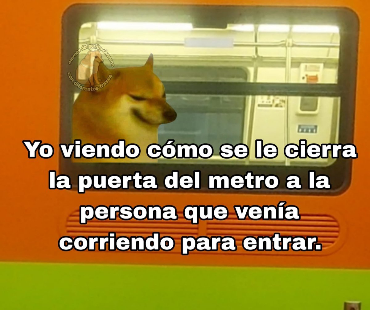 WETROCDMX tweet media